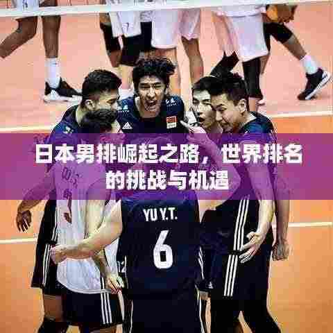 撺哄鸟乱 第3页