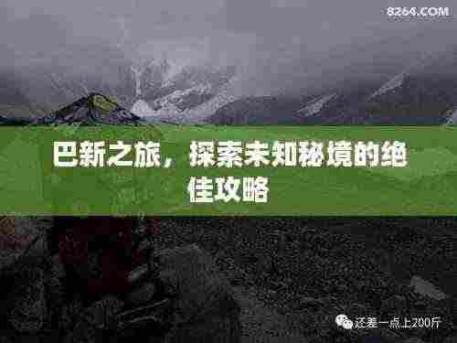 巴新之旅,探索未知秘境的绝佳攻略