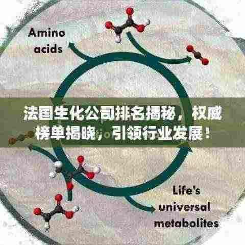法国生化公司排名揭秘,权威榜单揭晓,引领行业发展!