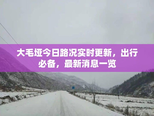 大毛垭今日路况实时更新,出行必备,最新消息一览