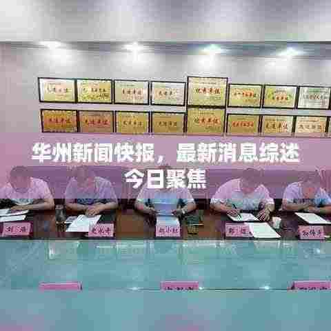 华州新闻快报,最新消息综述今日聚焦