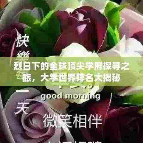 烈日下的全球顶尖学府探寻之旅，大学世界排名大揭秘