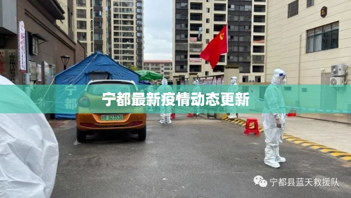 宁都最新疫情动态更新