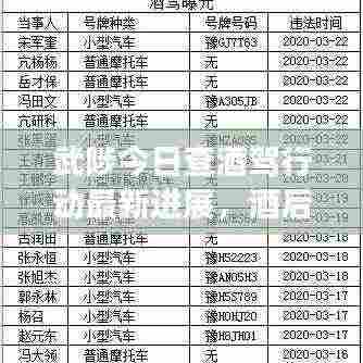 武陟今日查酒驾行动最新进展，酒后驾驶整治持续进行中