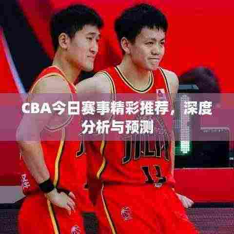 CBA今日赛事精彩推荐,深度分析与预测