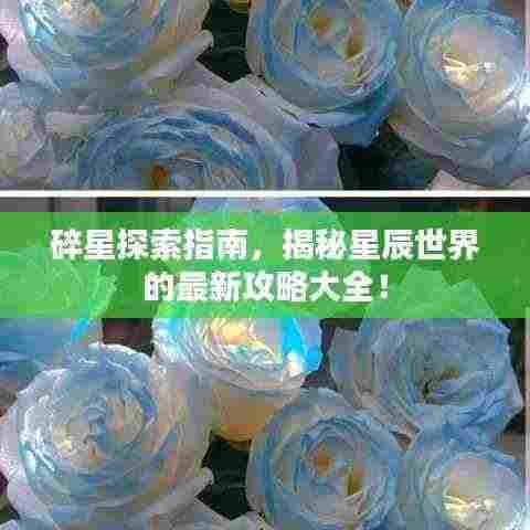 碎星探索指南,揭秘星辰世界的最新攻略大全!