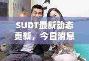 SUDT最新动态更新，今日消息一网打尽