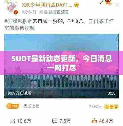 SUDT最新动态更新,今日消息一网打尽