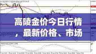 高陵金价今日行情,最新价格、市场走势及影响因素深度解析