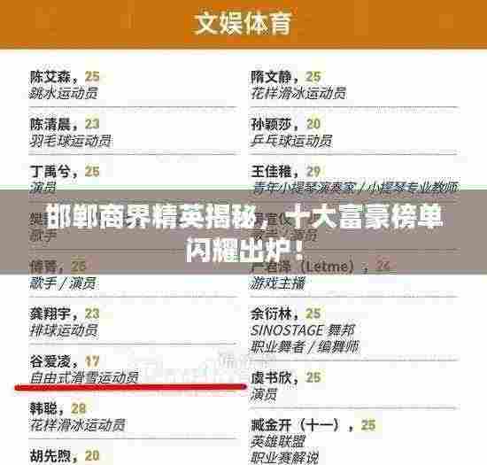 邯郸商界精英揭秘,十大富豪榜单闪耀出炉!