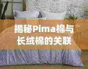 揭秘Pima棉与长绒棉的关联,百度权威解答在此!