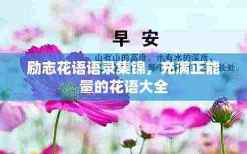 励志花语语录集锦,充满正能量的花语大全