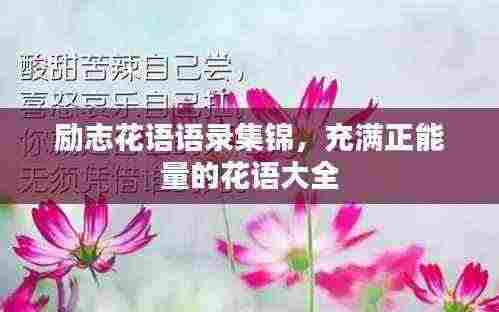 励志花语语录集锦,充满正能量的花语大全
