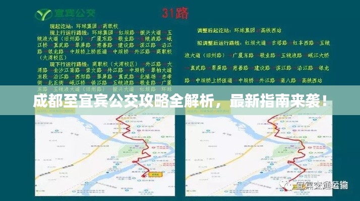 成都至宜宾公交攻略全解析,最新指南来袭!
