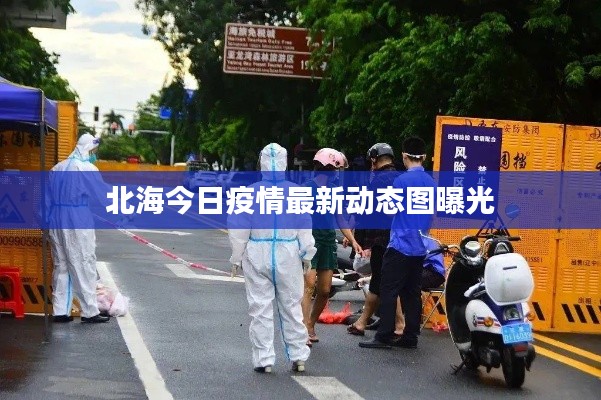 北海今日疫情最新动态图曝光