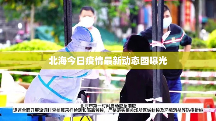 北海今日疫情最新动态图曝光