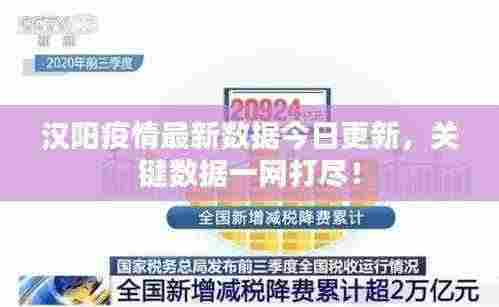 汉阳疫情最新数据今日更新，关键数据一网打尽！