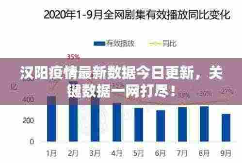 汉阳疫情最新数据今日更新,关键数据一网打尽!