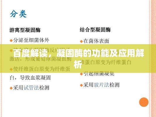 百度解读,凝固酶的功能及应用解析