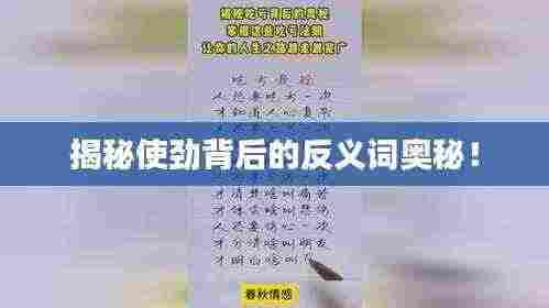 揭秘使劲背后的反义词奥秘!