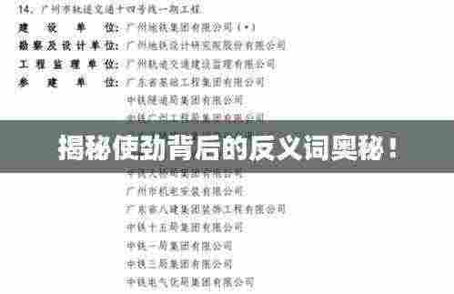 揭秘使劲背后的反义词奥秘!