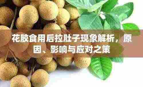 花胶食用后拉肚子现象解析，原因、影响与应对之策