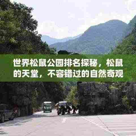 世界松鼠公园排名探秘,松鼠的天堂,不容错过的自然奇观!