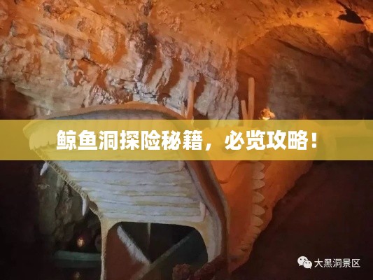 鲸鱼洞探险秘籍,必览攻略!