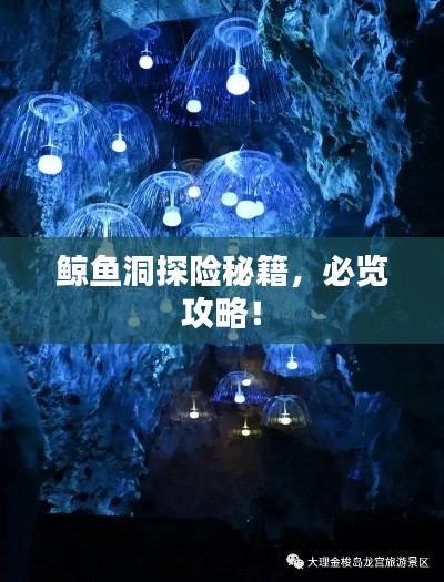 鲸鱼洞探险秘籍,必览攻略!