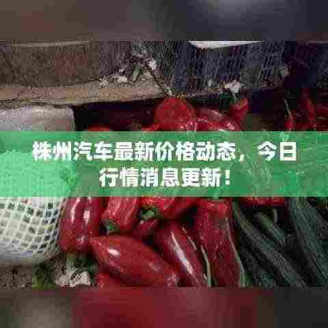 株州汽车最新价格动态,今日行情消息更新!