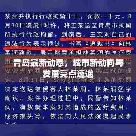 青岛最新动态,城市新动向与发展亮点速递