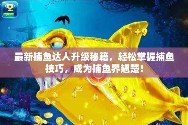 最新捕鱼达人升级秘籍,轻松掌握捕鱼技巧,成为捕鱼界翘楚!