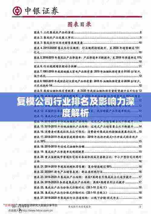 复模公司行业排名及影响力深度解析