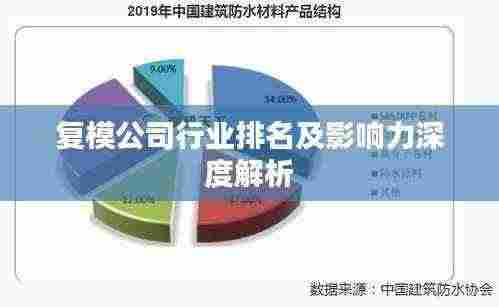 复模公司行业排名及影响力深度解析