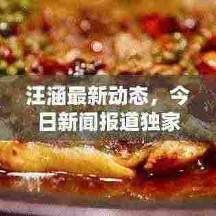 汪涵最新动态,今日新闻报道独家揭秘