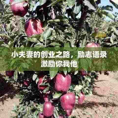 小夫妻的创业之路,励志语录激励你我他
