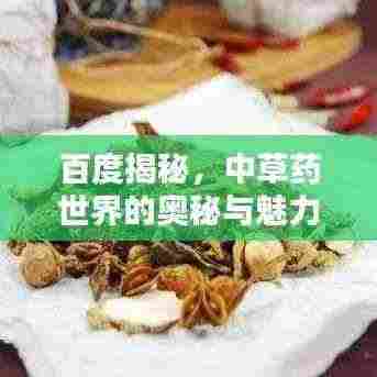 百度揭秘,中草药世界的奥秘与魅力探索