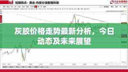 灰胶价格走势最新分析,今日动态及未来展望