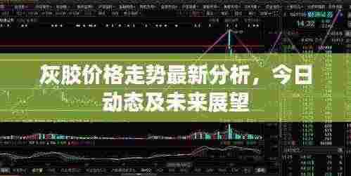 灰胶价格走势最新分析,今日动态及未来展望