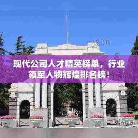 现代公司人才精英榜单,行业领军人物辉煌排名榜!