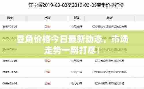 豆角价格今日最新动态,市场走势一网打尽!