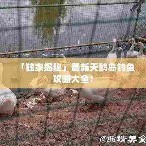 「独家揭秘」最新天鹅岛钓鱼攻略大全!