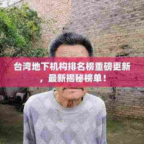 台湾地下机构排名榜重磅更新,最新揭秘榜单!