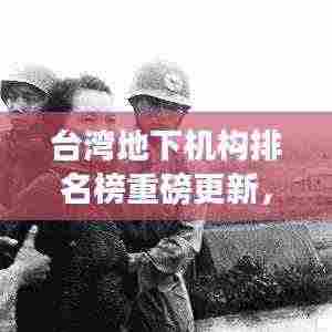 台湾地下机构排名榜重磅更新,最新揭秘榜单!
