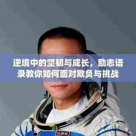 逆境中的坚韧与成长,励志语录教你如何面对欺负与挑战