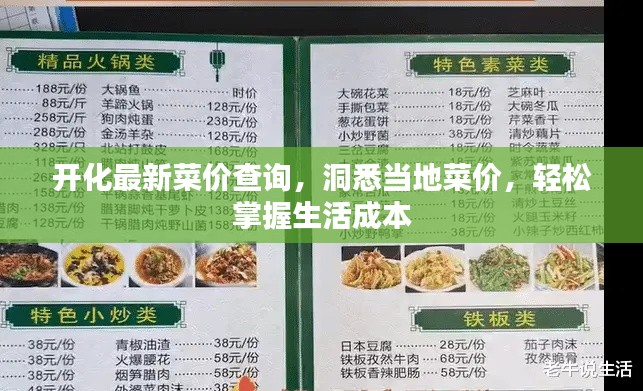开化最新菜价查询,洞悉当地菜价,轻松掌握生活成本