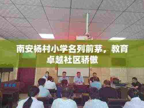 南安杨村小学名列前茅,教育卓越社区骄傲