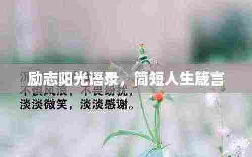 励志阳光语录,简短人生箴言