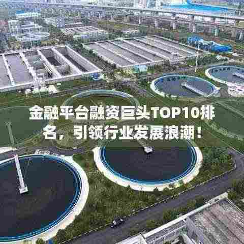 金融平台融资巨头TOP10排名,引领行业发展浪潮!