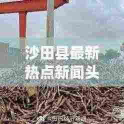 沙田县最新热点新闻头条速递